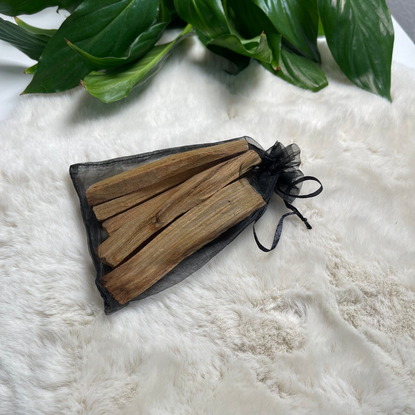 Palo Santo