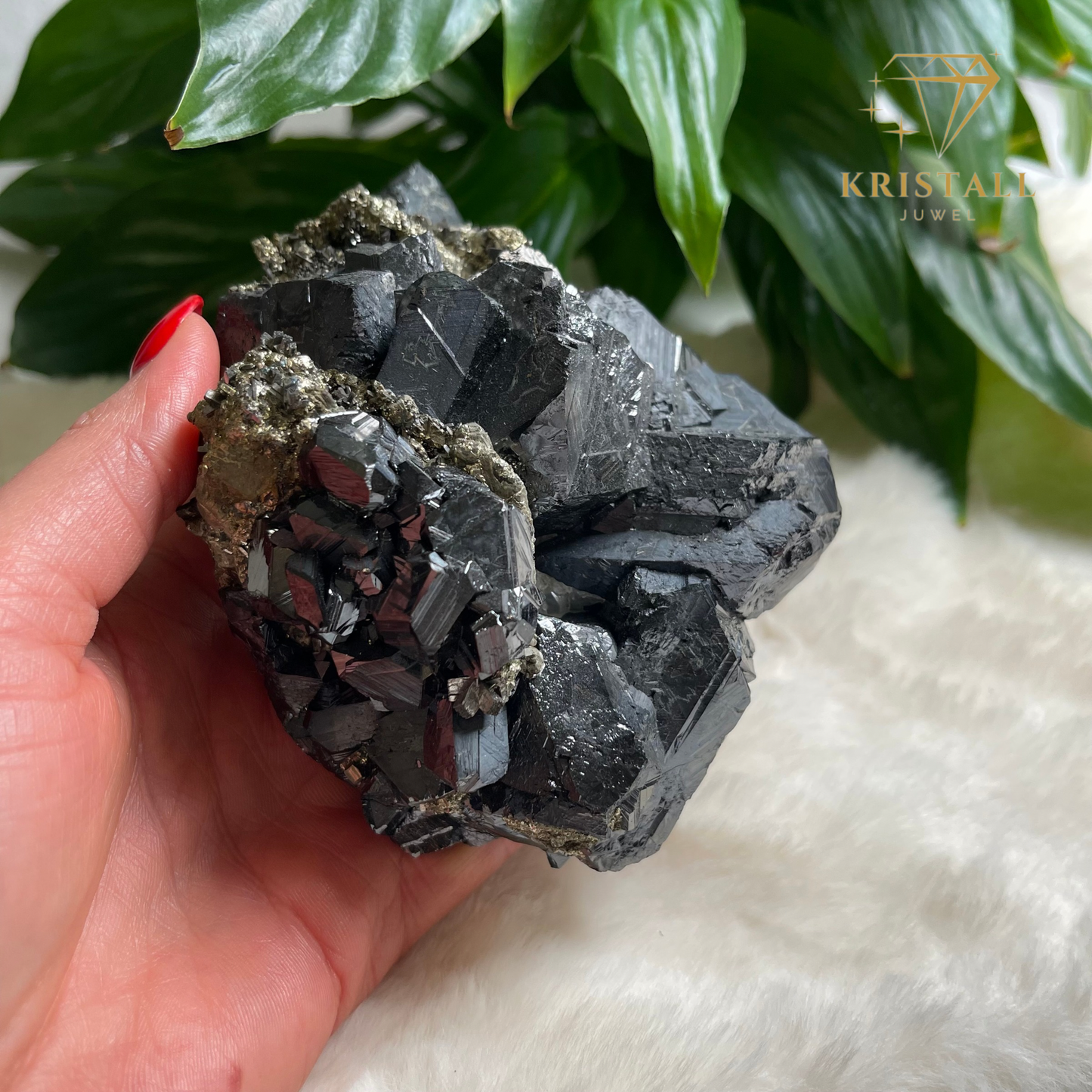 Pyrit mit Galenit