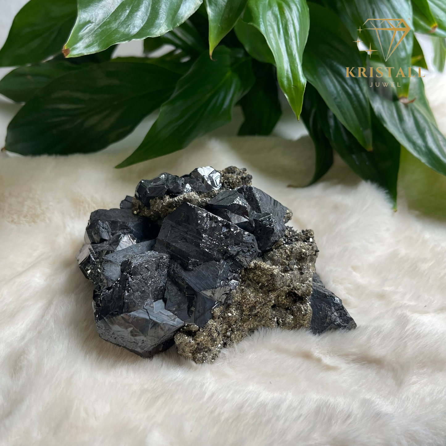 Pyrit mit Galenit