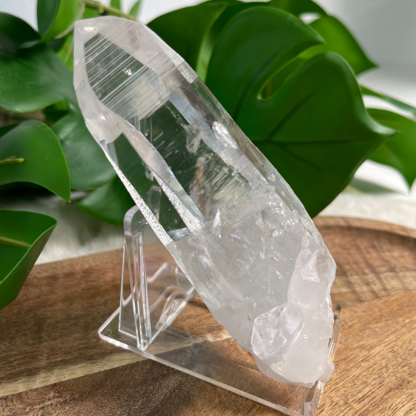 Peña Blanca Lemurian - Kolumbien