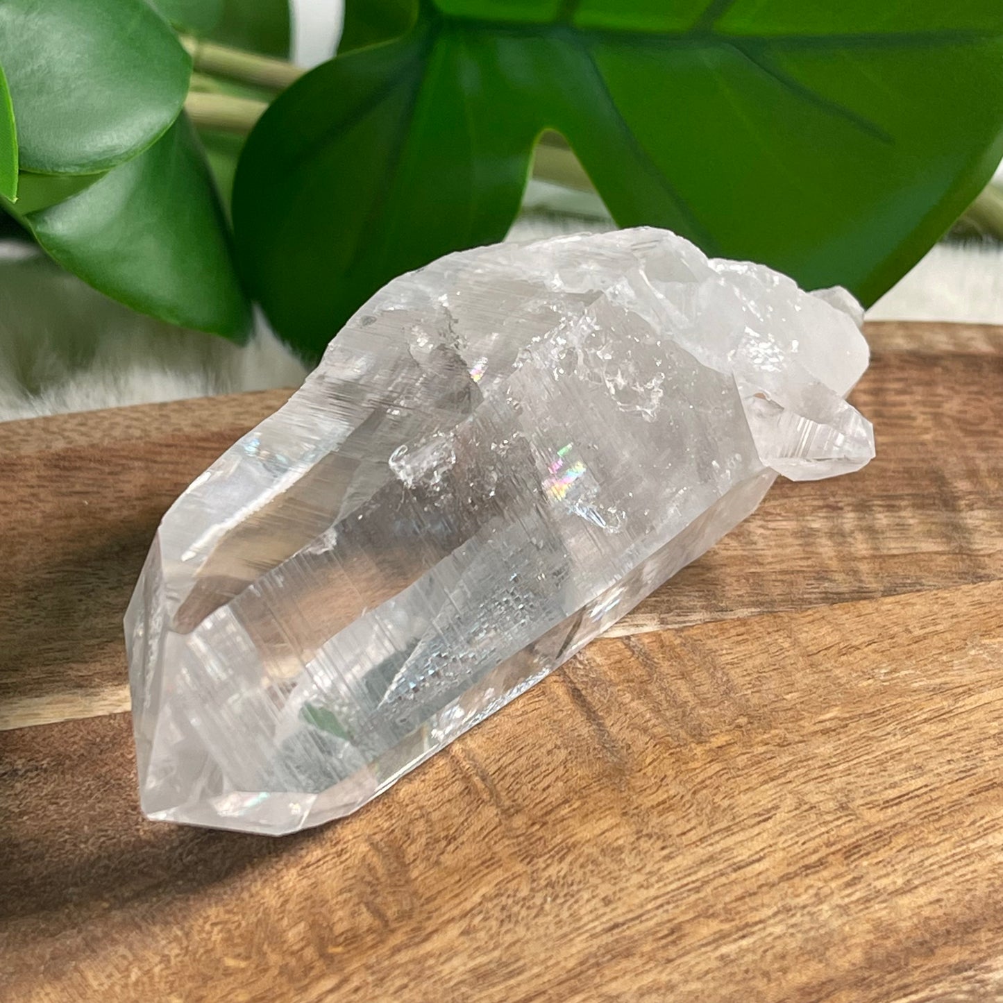 Peña Blanca Lemurian - Kolumbien