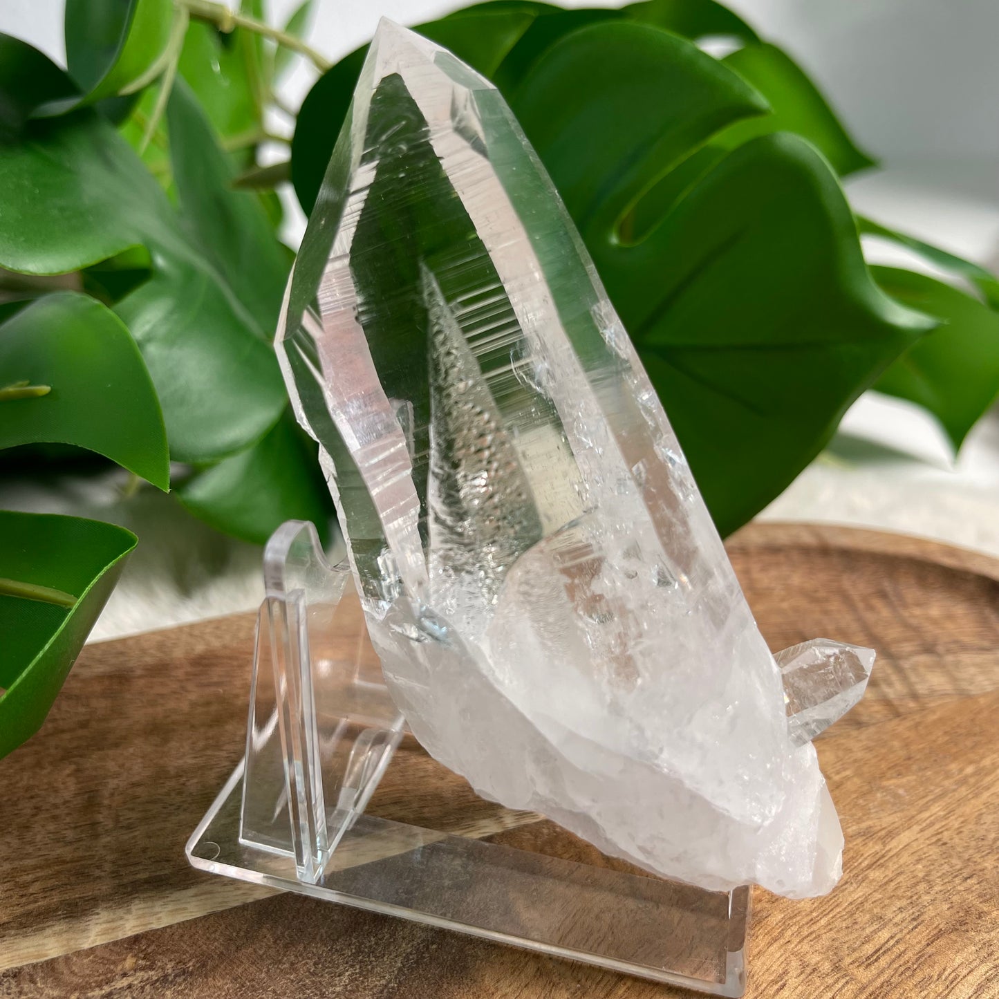 Peña Blanca Lemurian - Kolumbien