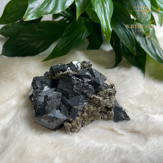 Pyrit mit Galenit